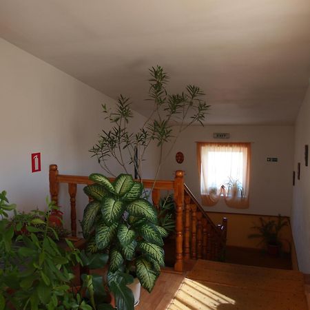 Vila Veche Haţeg Exterior foto