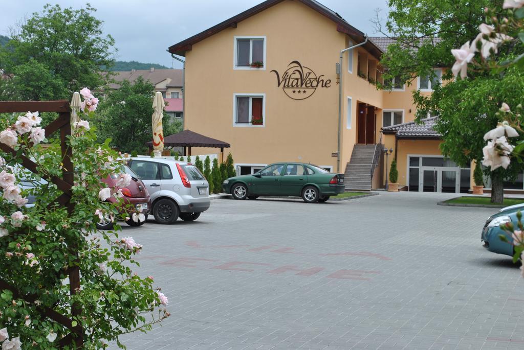 Vila Veche Haţeg Exterior foto
