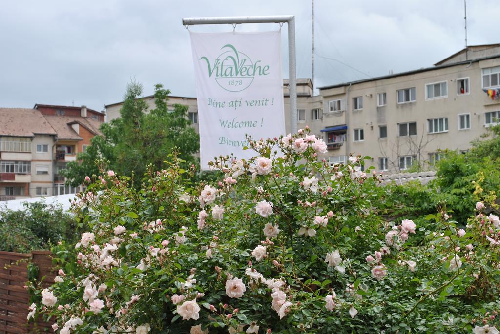 Vila Veche Haţeg Exterior foto