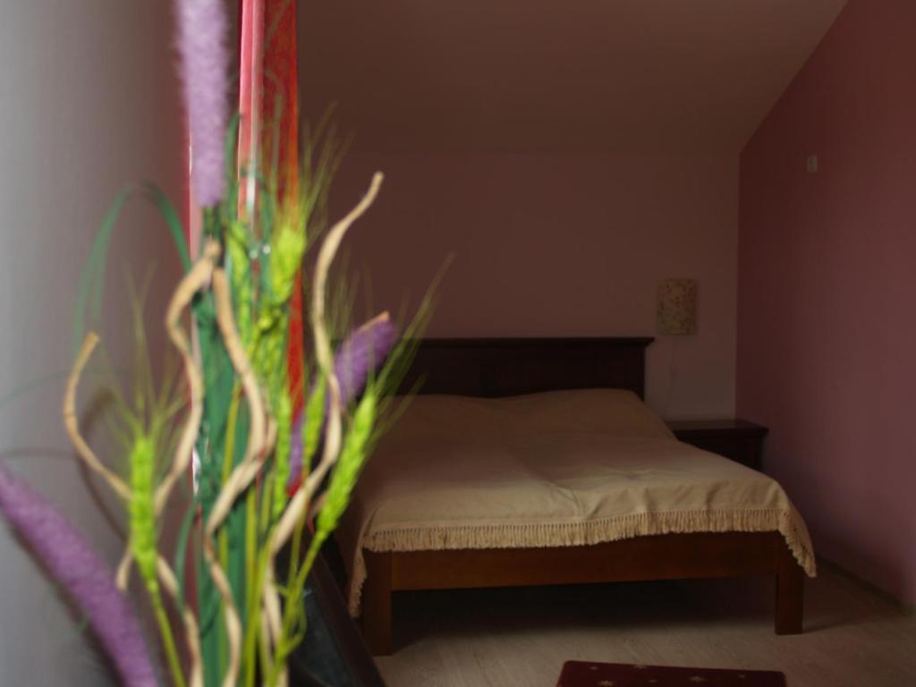 Vila Veche Haţeg Quarto foto