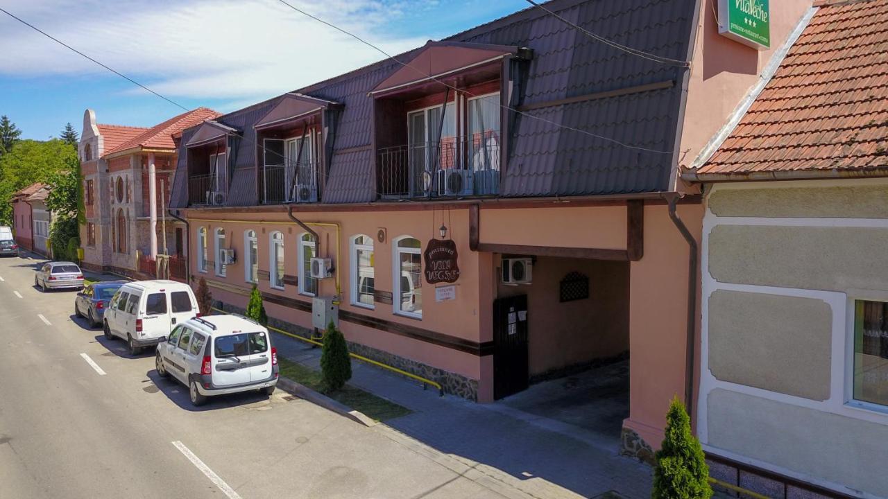 Vila Veche Haţeg Exterior foto